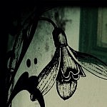 Foto del perfil de Livia