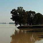 Foto del perfil de eduardo