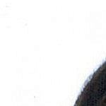 Foto del perfil de Mario Rosado