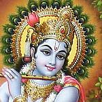 Foto del perfil de luchador colectivo