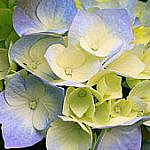 Foto del perfil de AVEMARIA1966